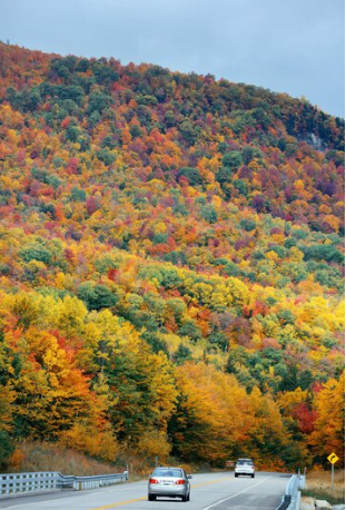 Read more about the article The Greatest Spots in the USA to See Fall Foliage